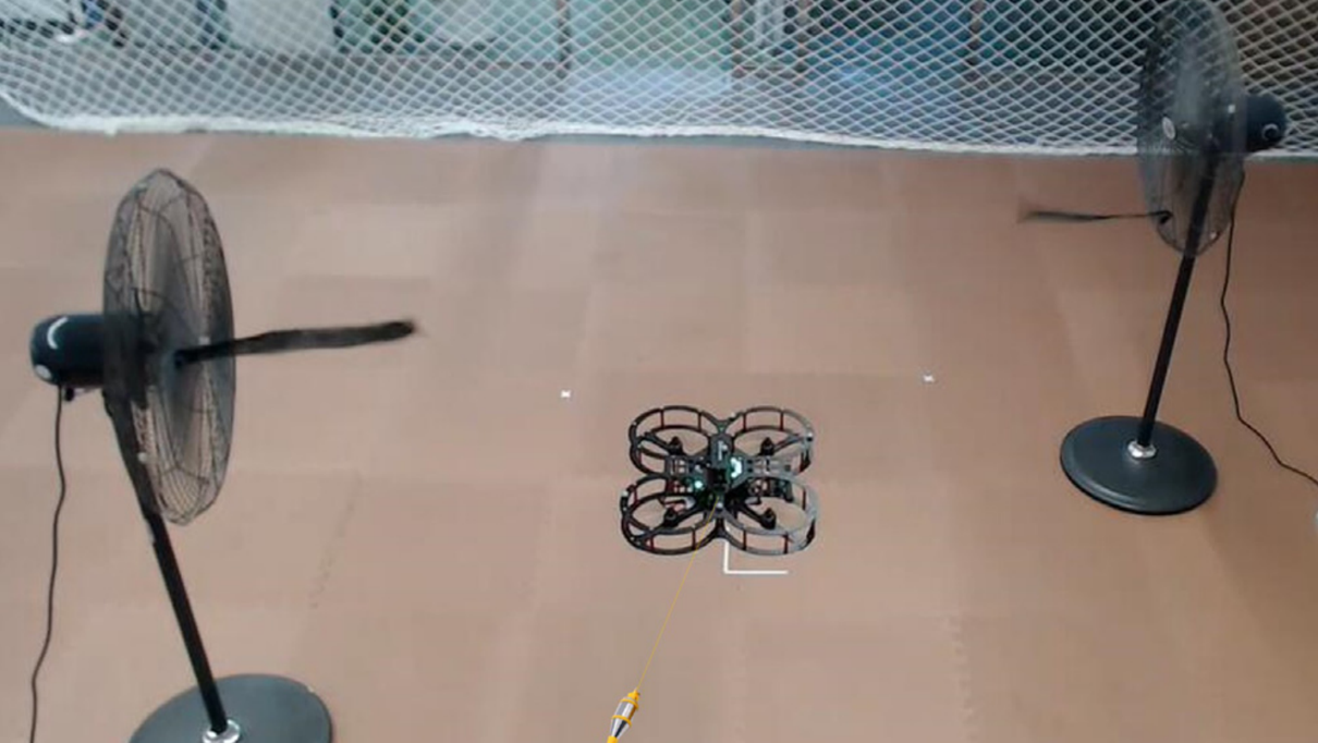 Multiple observers-based anti-disturbance control for a quadrotor UAV against payload and wind disturbance